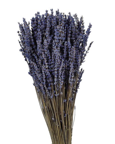 Lavanda Seco 150g Preservada