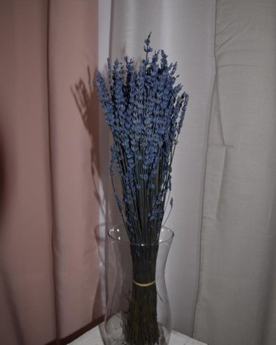 Lavanda preservada azul