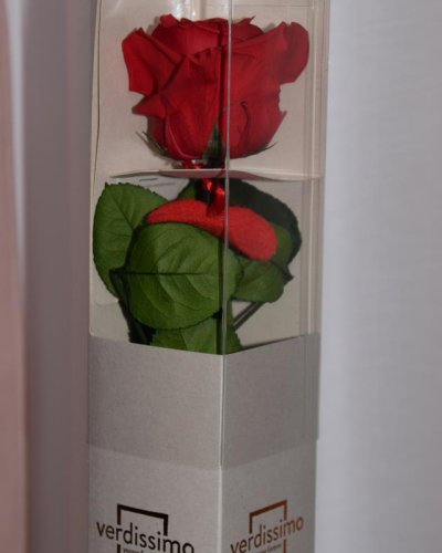 Rosa preservada caja decorativas verdissimo
