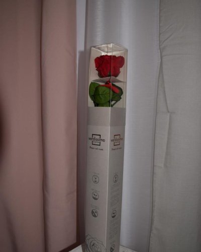 Rosa preservada caja decorativas verdissimo