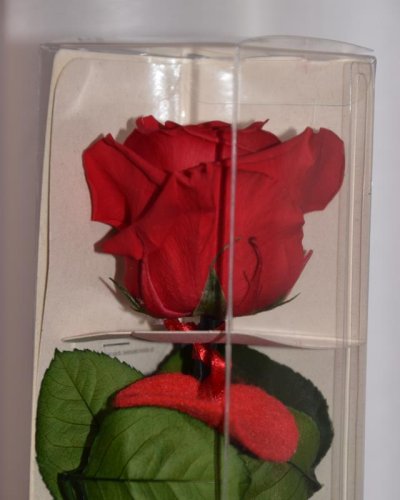 Rosa preservada caja decorativas verdissimo