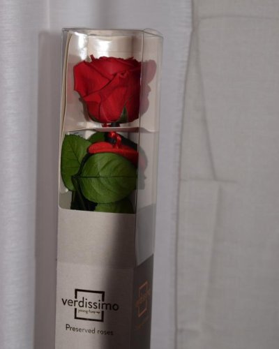 Rosa preservada caja decorativas verdissimo