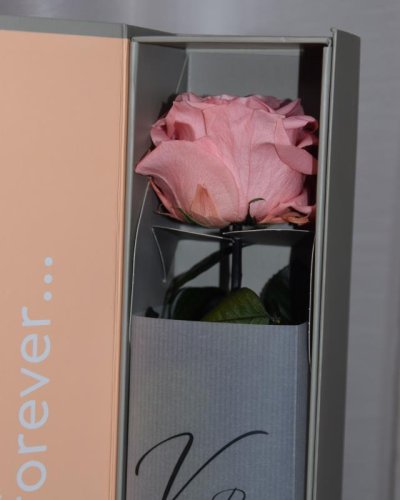 Rosa Preservada Premium box decorativo