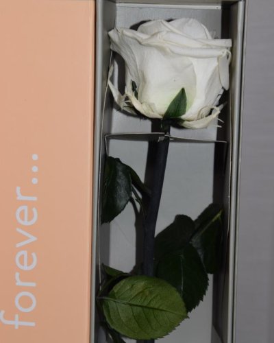 Rosa Preservada Premium box decorativo