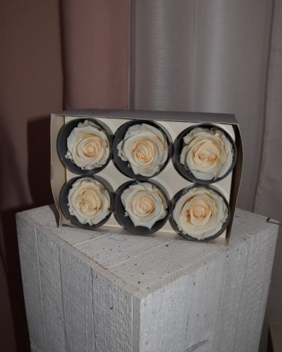 Caja de 6 cabezas de rosas preservadas