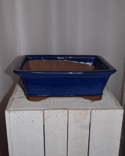 Tarrina Bonsái 25 rectangular azul