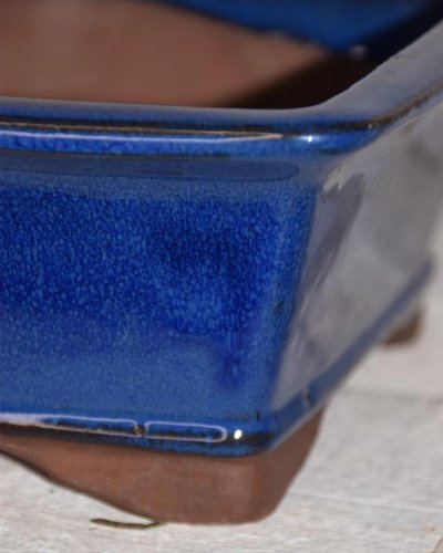 Tarrina Bonsái 25 rectangular azul