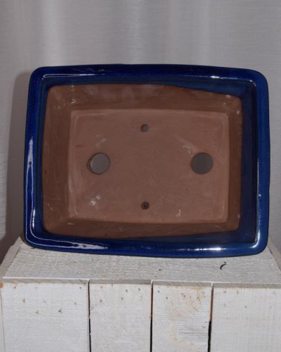 Tarrina Bonsái 25 rectangular azul