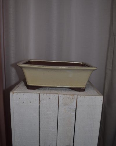 Tarrina bonsái rectangular 25cm crema