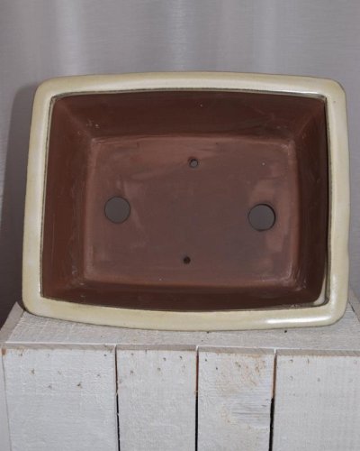 Tarrina bonsái rectangular 25cm crema