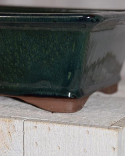 Tarrina Bonsái 25 rectangular verde