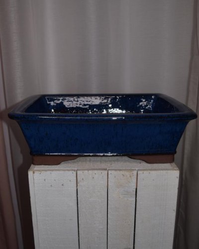 Tarrina Bonsái 35cm rectangular azul