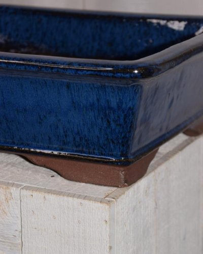 Tarrina Bonsái 35cm rectangular azul