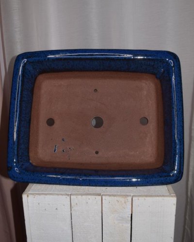 Tarrina Bonsái 35cm rectangular azul