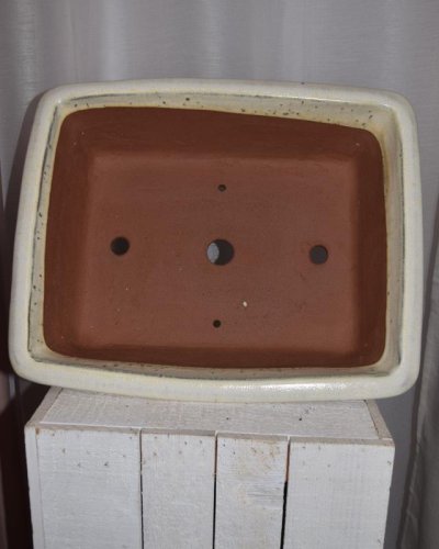 Tarrina Bonsái 35cm rectangular crema