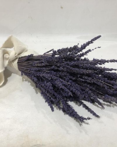 Ramo Preservado Lavanda