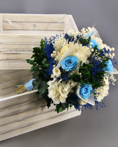 Ramo Preservado Cassiel