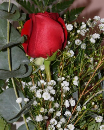 Detalle 1 rosa roja