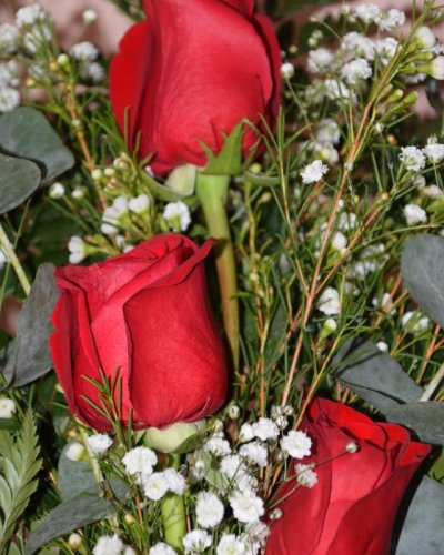 Ramo De 3 Rosas Rojas