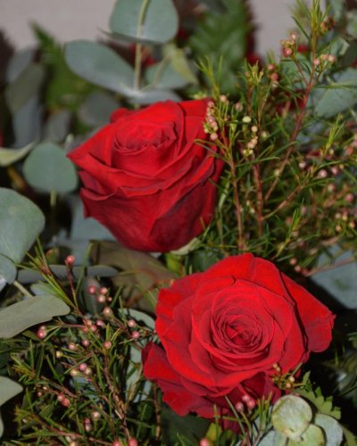 Ramo De 6 Rosas Rojas