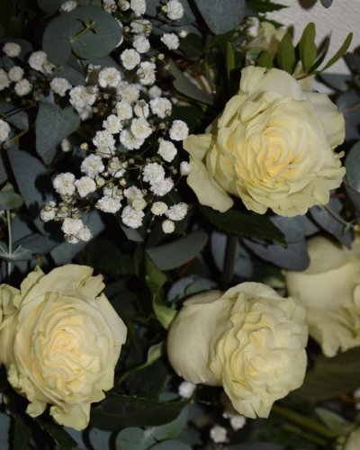 Ramo De 12 Rosas Blancas