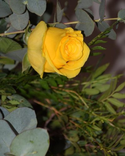Ramo De 12 Rosas Amarillas