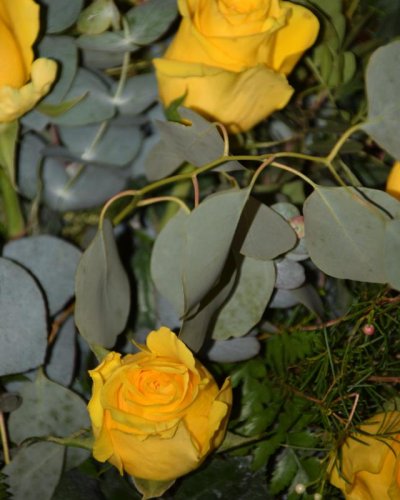 Ramo De 12 Rosas Amarillas