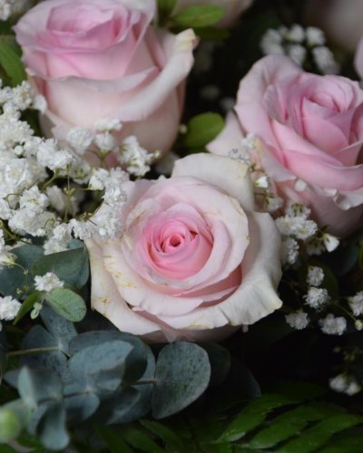 Ramo De 12 Rosas Rosa
