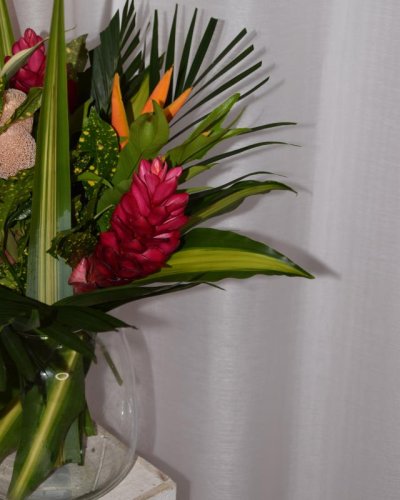 Ramo Tropical