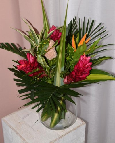 Ramo Tropical
