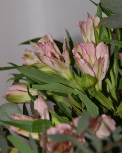Ramo de Alstroemeria