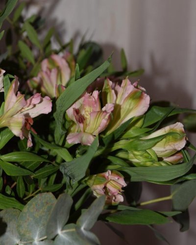 Ramo de Alstroemeria