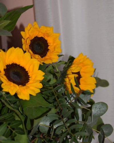 Ramo de Girasoles