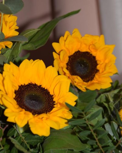 Ramo de Girasoles