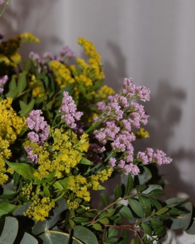 Ramo del campo asilvestrado