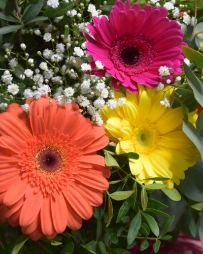 Ramo de Gerberas