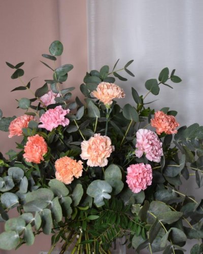 Ramo de Clavel 
