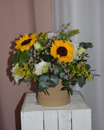 Caja primaveral sunflowers