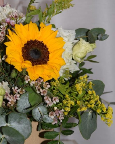 Caja primaveral sunflowers