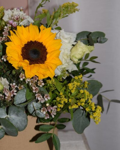 Caja primaveral sunflowers