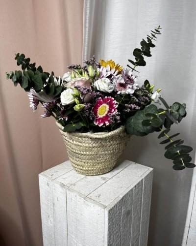 Cesta petit Baby gerbera