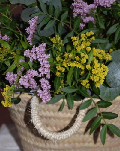 Cazapo flor  silvestre