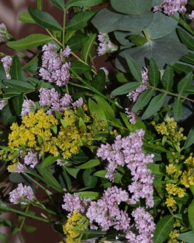 Cazapo flor  silvestre