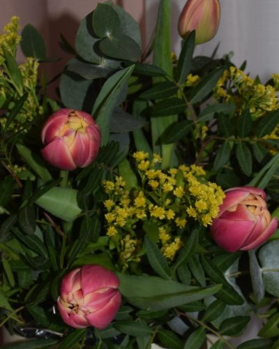 Caja de tulipanes