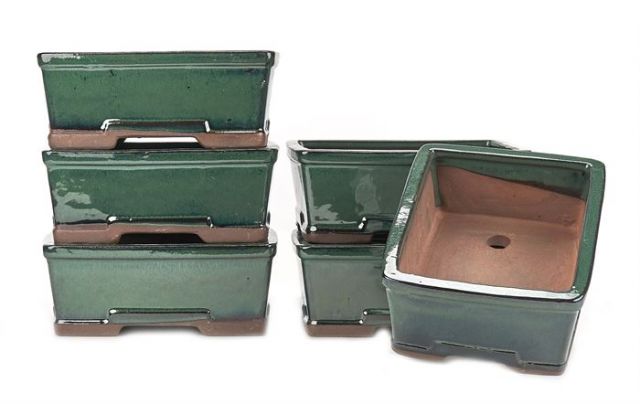 Tarrina Bonsai Basic Class rectangular 18cm verde